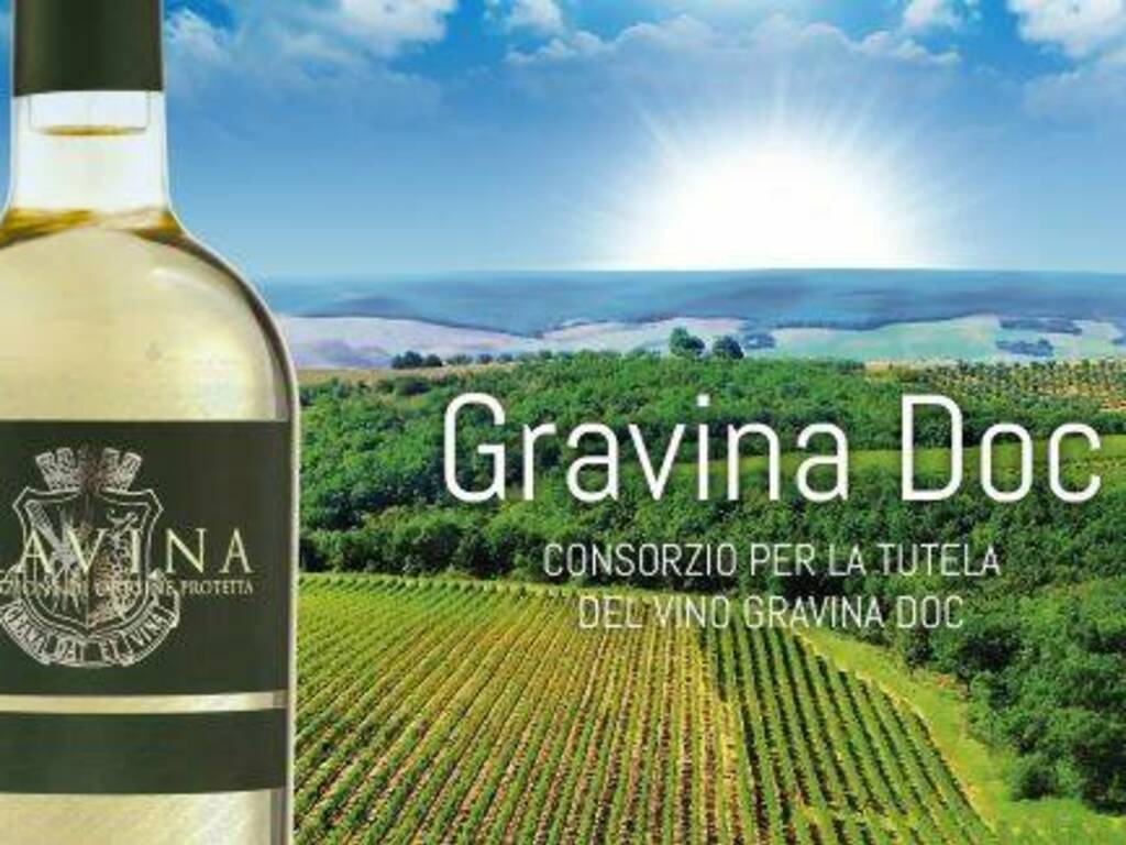 Cenni storiografici della “Verdeca di Gravina in Puglia”